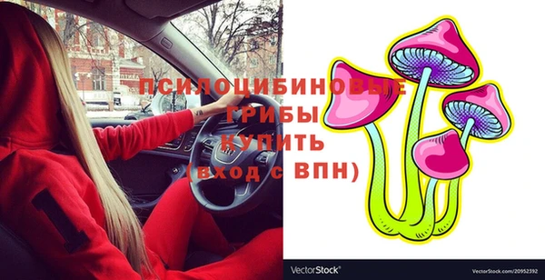 прущие грибы Армянск